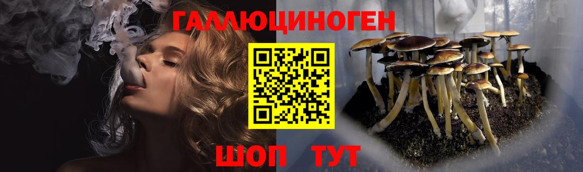 Псилоцибиновые грибы GOLDEN TEACHER  Вход с VPN  Волгодонск 